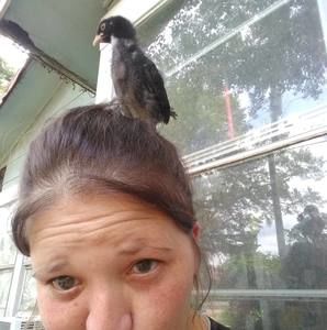 Meet your Posher, Jo-lynn